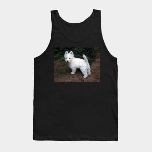 Westie Tank Top